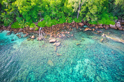 Bird eye drone of baie lazare beach, granite stones, turquoise water, coconut palm trees, sunny day, Mahe Seychelles 4