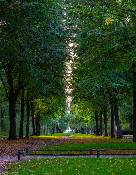 istock Alley in Tiergarten Berlin in October, Germany 1763481032