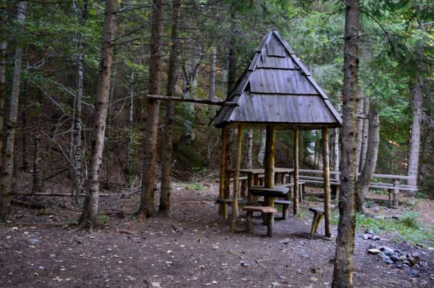 istock wooden summer house in the forest 1763522219