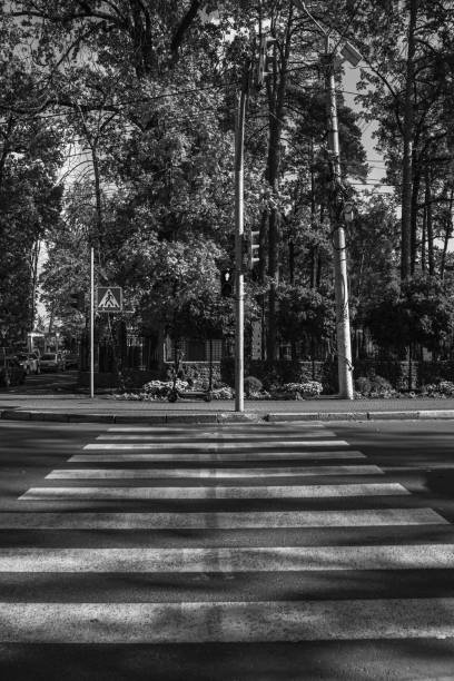 istock crossing the road to the park 1763542481