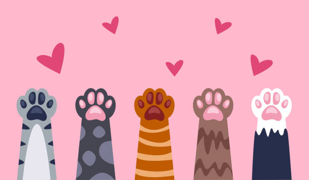 istock Cat paw pet animal cute kitten poster concept. Vector flat graphic design illustration 1763567746