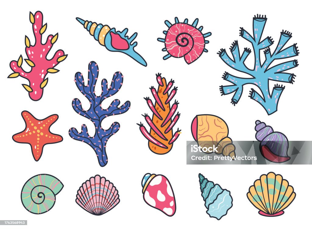 Crustacean Shells Cartoon Sea Shell Starfish Snail Seashell Crustacean Ocean Life Isolated Set ...