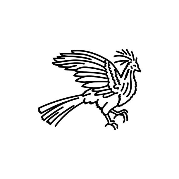 Hoatsin bird black line icon. Hoatsin bird black line icon. Pictogram for web page, mobile app, promo. hoatzin stock illustrations