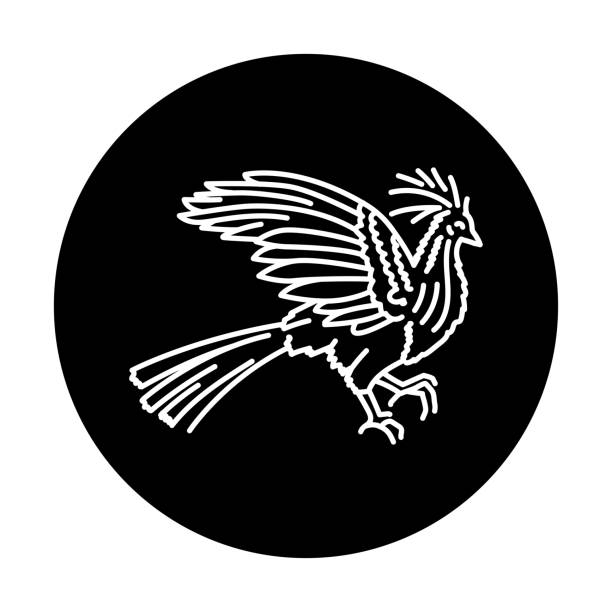 Hoatzin bird black line icon. Hoatzin bird black line icon. Pictogram for web page, mobile app, promo. hoatzin stock illustrations