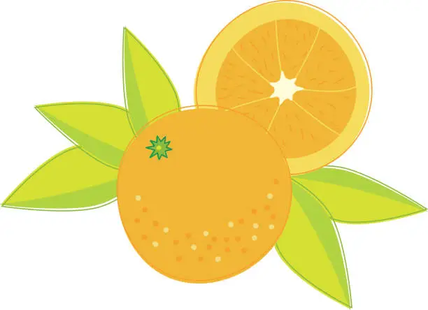 Vector illustration of OrangeWithSlice