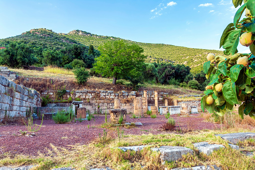 Ruins of the ancient Greek city of Messenia, Peloponnese, Greece. Ancient Messini was founded in 371 BC after the Theban general Epaminondas defeated Sparta at the Battle of Leuctra, freeing the Messinians from almost 350 years of Spartan rule.