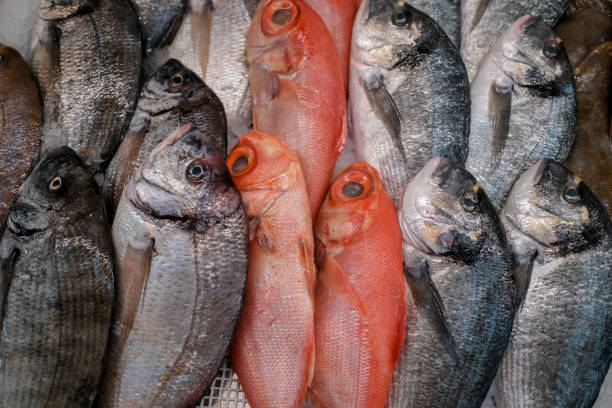 istock Atlantic fish are spread out in the market. 1763597262
