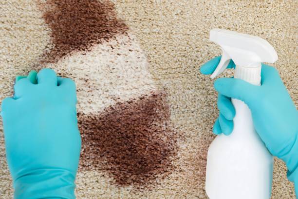 istock Man Spray Bottle And Sponge Cleaning Red Wine On Rug 1763628630