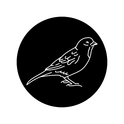Sparrow bird black line icon. Pictogram for web page, mobile app, promo.