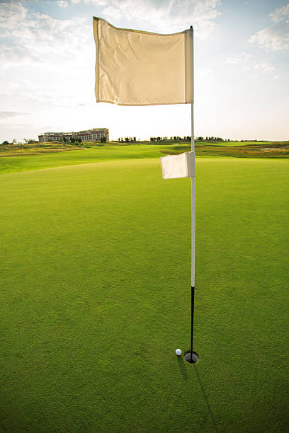 istock Golf pin on green field 176364620