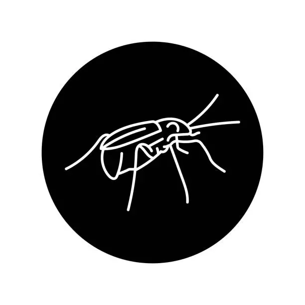 Vector illustration of Bombardier beetle black line icon.