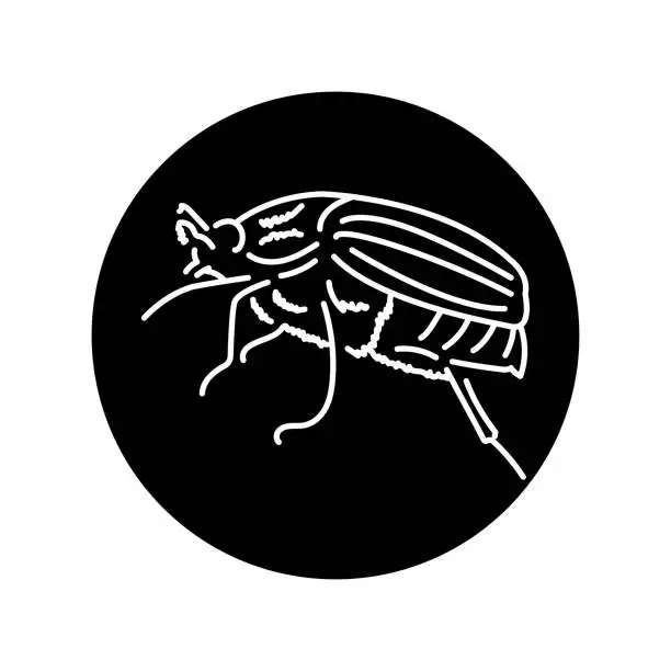 Vector illustration of Chafer black line icon.