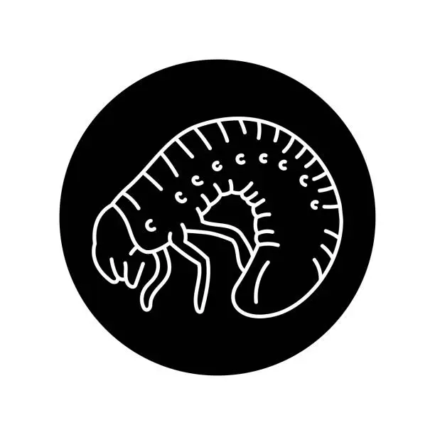 Vector illustration of Maybug indect black line icon.