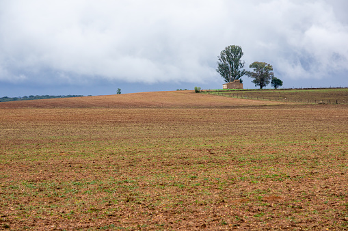 Serene agricultural landscape: Wet field under cloudy sky with farmhouse and distant trees on the horizon.