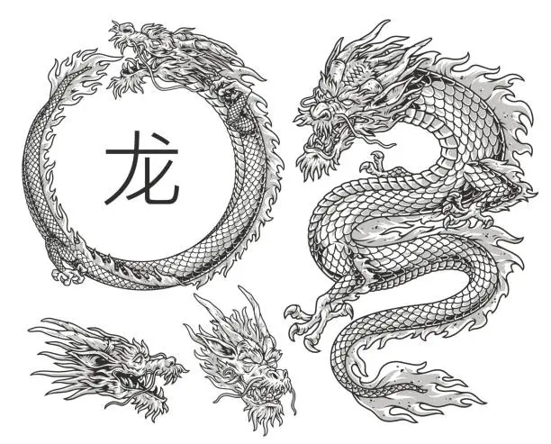 Vector illustration of Chinese dragons monochrome set emblems