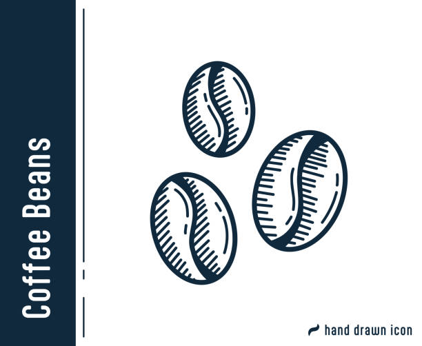 kaffeebohne einzelnes icon-design. - coffee beans stock-grafiken, -clipart, -cartoons und -symbole