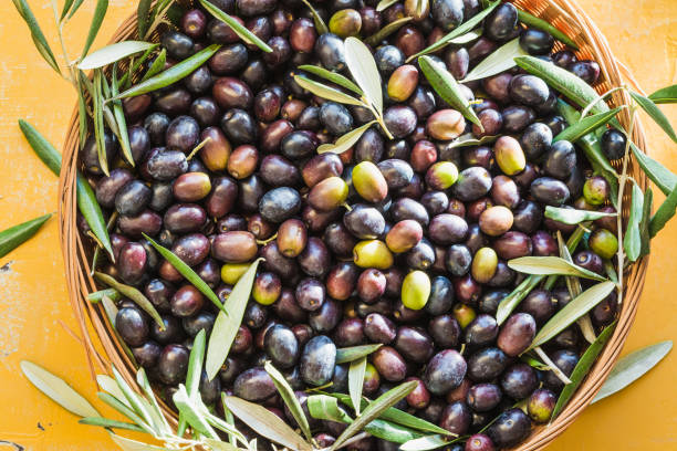 istock Fresh olive berries in basket and olive oil bottle copy space background, harvest concept. 1763666449