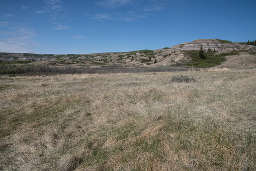 Landscape of Dry Island Buffalo Jump Provincial Park