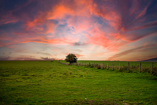Panorama of a colorful sunset on a fresh green meadow, wide format rural landscape with vibrant colors