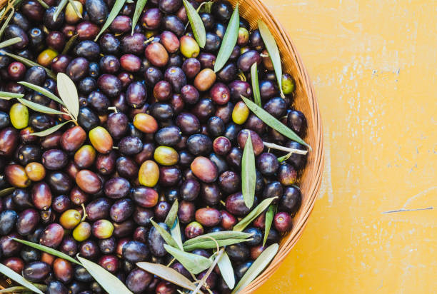 istock Fresh olive berries in basket top view copy space background, harvest concept. 1763673104