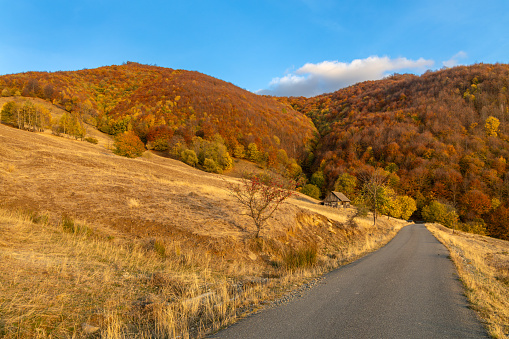 Beautiful autumn colours, Transilvania, Romania