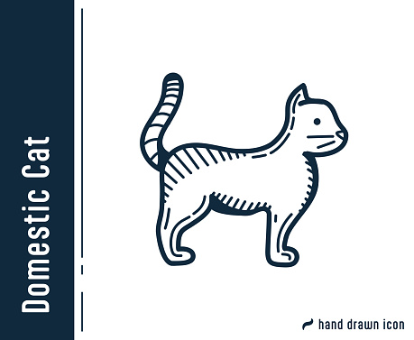 Domestic Cat Hand Drawn Single Icon Design.