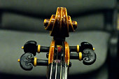 Violin scroll and pegs