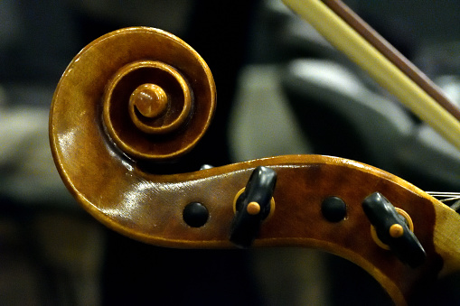 Violin scroll and peb box close-up