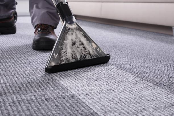 istock Person Cleaning Carpet With Vacuum Cleaner 1763702350