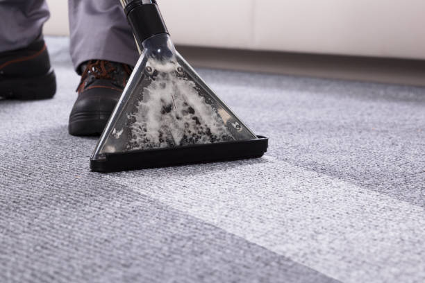 istock Person Cleaning Carpet With Vacuum Cleaner 1763702359