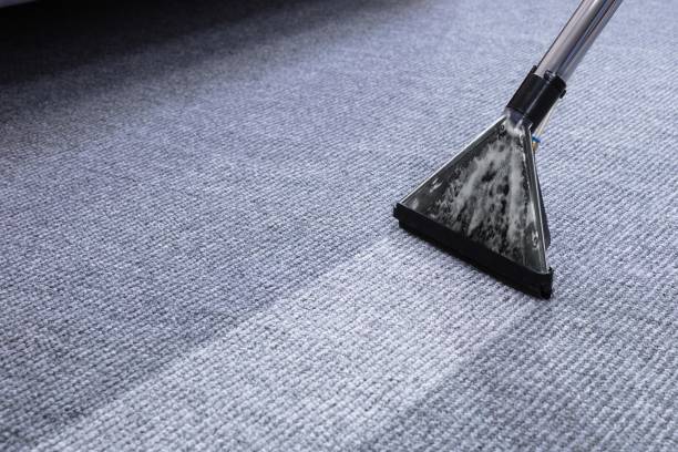 istock Male Janitor Cleaning Carpet 1763703467