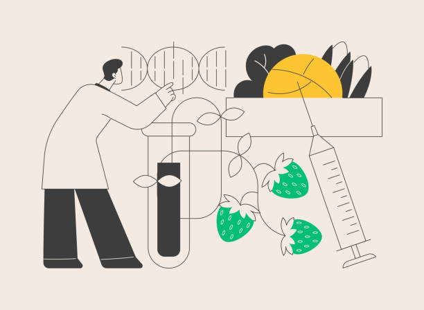Modifing Vector 50+ Modified Icon Stock Illustrations, Royalty-Free Vector Graphics ...