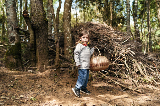 boy walking through the forest with a basket collecting mushrooms