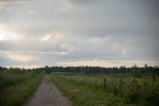 Country road in agricultural landscape