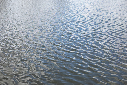 Texture of water. Waves on lake. Surface of pond. Ripples on water.