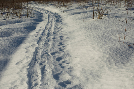 Trail in the snow. Frozen Ski Trail. Footprints in a snow-covered field. Cross-country skiing in the wilderness.