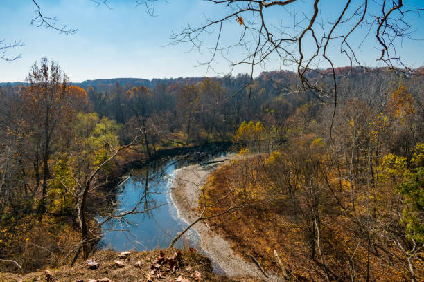 Landscape Shot of River Running Through Forest