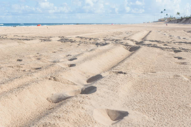 istock Sand on a beach on a bright sunny day. 1763843540
