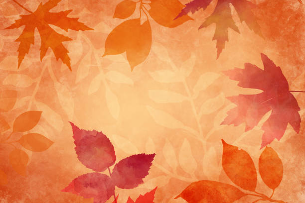 Autumn or fall background leaves, orange thanksgiving background with falling leaves on border in red and orange, soft watercolor painted background with maple tree leaves in fall season design