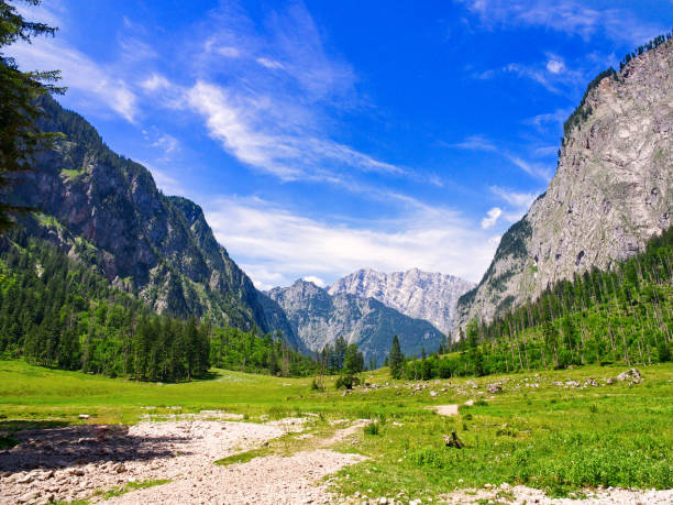 hintergrund blick auf das tal und die berge - european alps germany landscaped spring stock-fotos und bilder