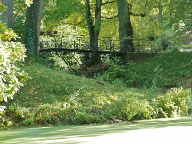 istock Birdge on cementary Ohlsdorf in Hamburg 1763889929