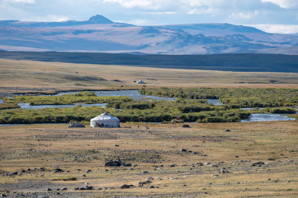 伝統的な遊牧民のゲル集落 - independent mongolia 写真 ストックフォトと画像