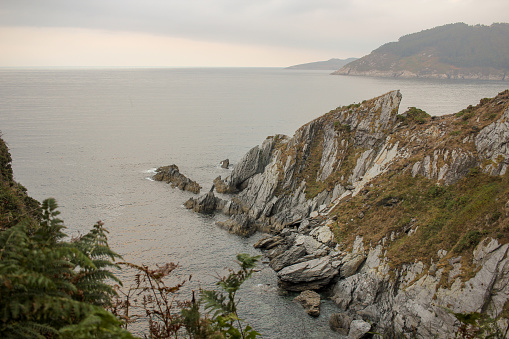 cliffs in the Cantabrian sea seen from the forest