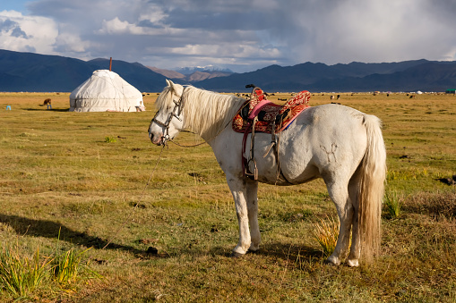 A typical yurt (temporary house)in the colourful Tien Shan Mountains in Kazakhstan.