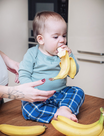 Baby girl eating a banana with her pregnant mom in their kitchen at home