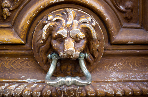 A metal gate to a house with a lion head with a ring in his mouth for knocking