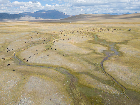 Aerial drone view of Khuites Valley in the Altai Mountains, of Western Mongolia. The remote valley landscape is home to nomadic herders, who have livestock grazing on the land, during the summer season, before their winter migration to a different grazing area in the mountain region.