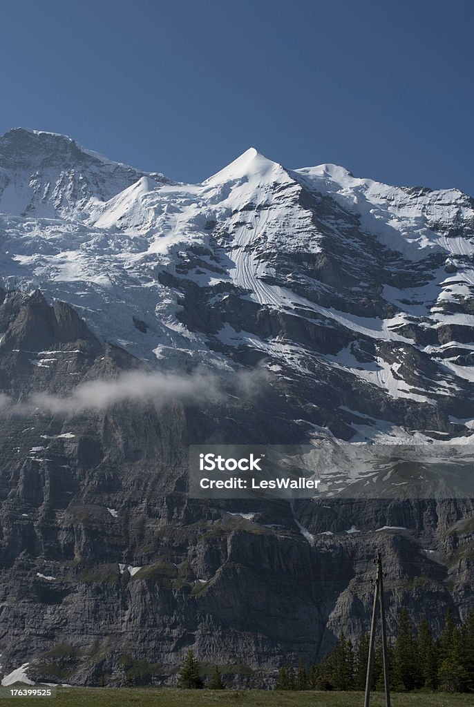 スイスのアルプスで、夏の岩 - スイスのロイヤリティフリーストックフォト