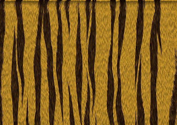 istock Texture of tiger skin 176403305
