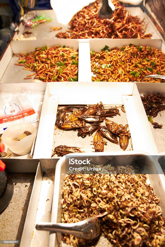 Variedade de pratos de insetos frito - Foto de stock de Alimentação Saudável royalty-free